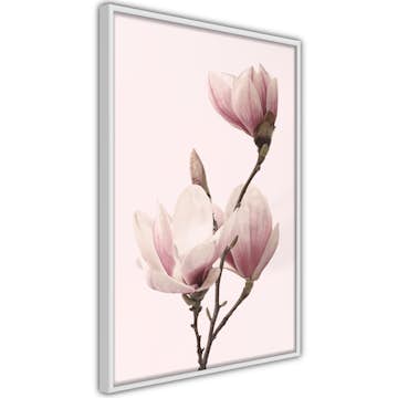 Poster Artgeist Affisch Seasonal Flowers