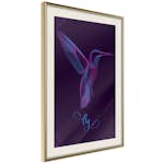 Poster Artgeist Affisch Purple Hummingbird