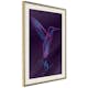 Poster Artgeist Affisch Purple Hummingbird