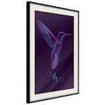 Poster Artgeist Affisch Purple Hummingbird