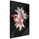 Poster Artgeist Affisch Lilies