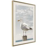 Poster Artgeist Affisch Seagull