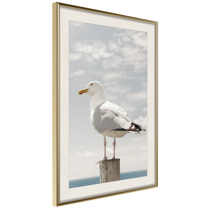 Poster Artgeist Affisch Seagull
