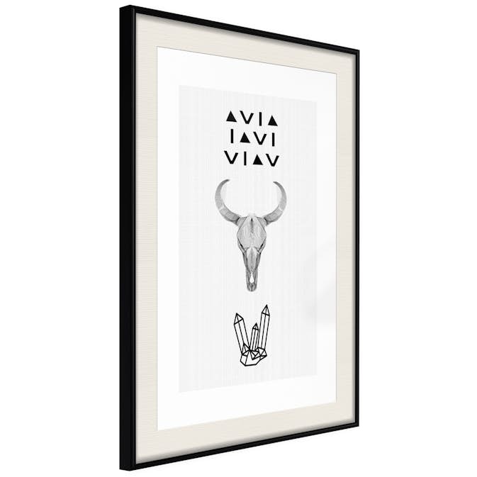 Poster Artgeist Affisch Animal Skull