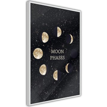 Poster Artgeist Affisch Lunar Cycle