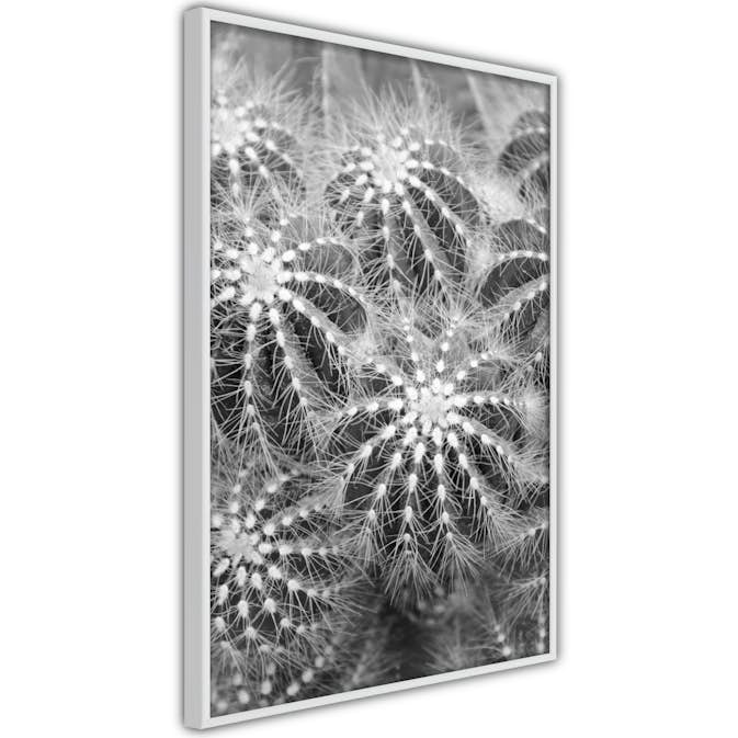 Poster Artgeist Affisch Risky Adventure