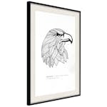 Poster Artgeist Affisch Eagle of Freedom
