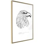 Poster Artgeist Affisch Eagle of Freedom