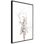 Poster Artgeist Affisch Composition of Herbs