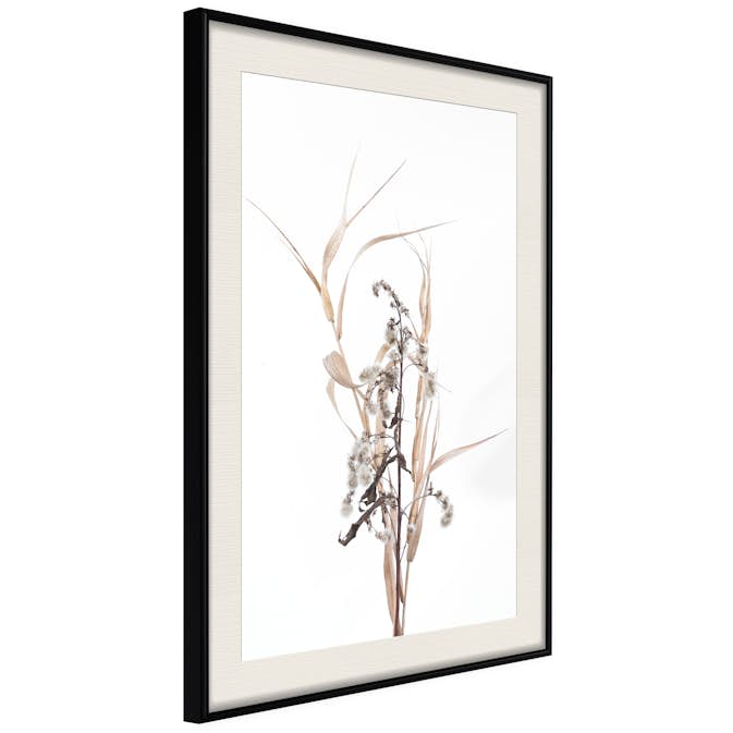 Poster Artgeist Affisch Composition of Herbs