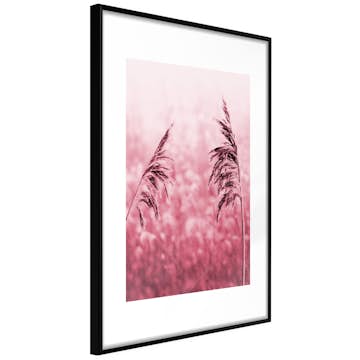 Poster Artgeist Affisch Ruby Stalk