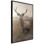 Poster Artgeist Affisch Deer in Sepia