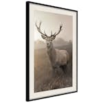 Poster Artgeist Affisch Deer in Sepia