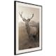 Poster Artgeist Affisch Deer in Sepia