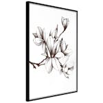 Poster Artgeist Affisch Renaissance Magnolias