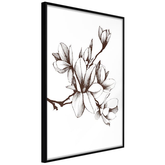 Poster Artgeist Affisch Renaissance Magnolias