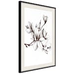 Poster Artgeist Affisch Renaissance Magnolias