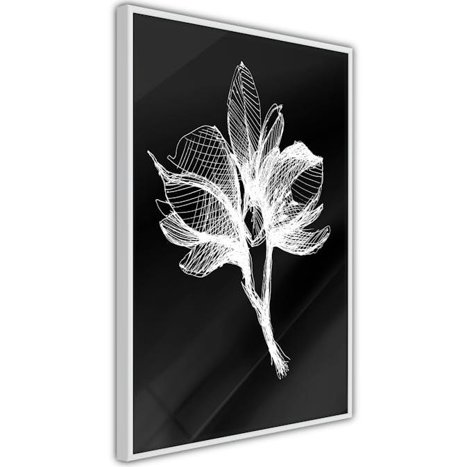 Poster Artgeist Affisch Night Flower