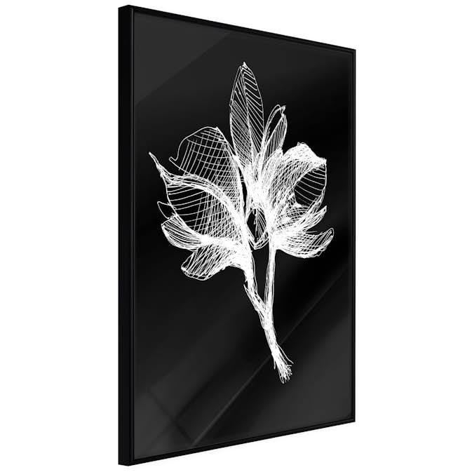 Poster Artgeist Affisch Night Flower