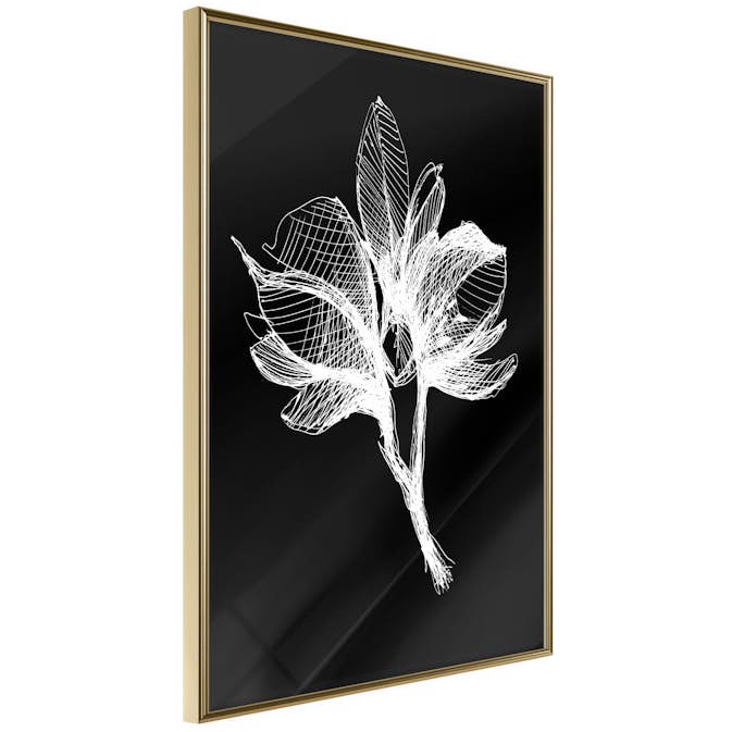 Poster Artgeist Affisch Night Flower