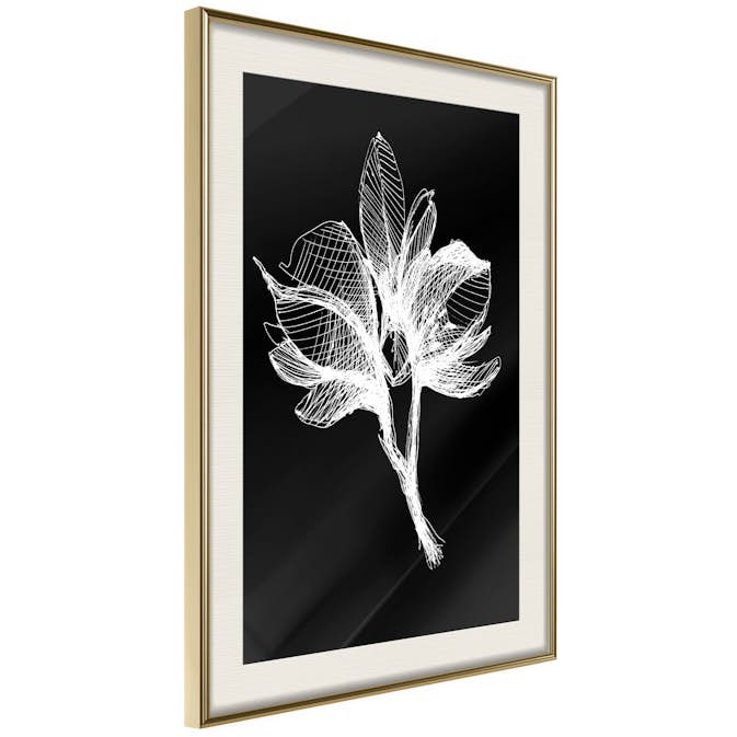 Poster Artgeist Affisch Night Flower
