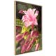 Poster Artgeist Affisch Natural Pink
