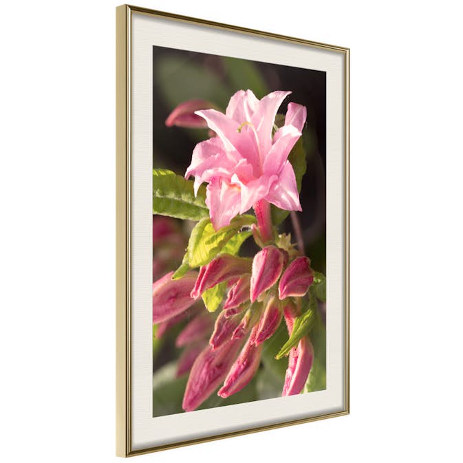 Poster Artgeist Affisch Natural Pink