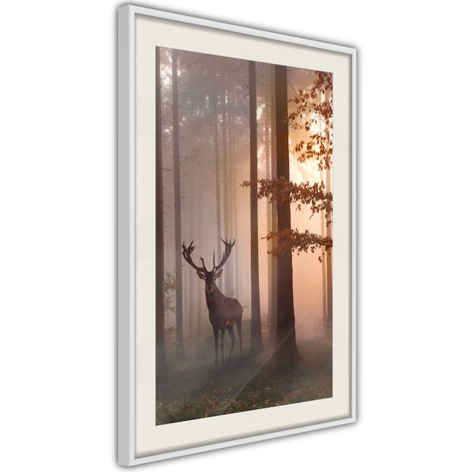 Poster Arkiio Affisch Morning