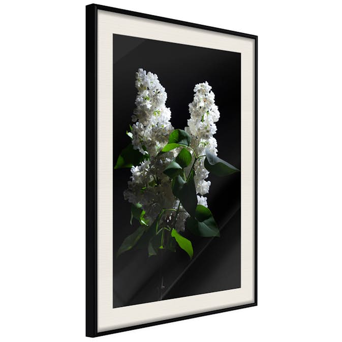 Poster Artgeist Affisch Lilacs at Night