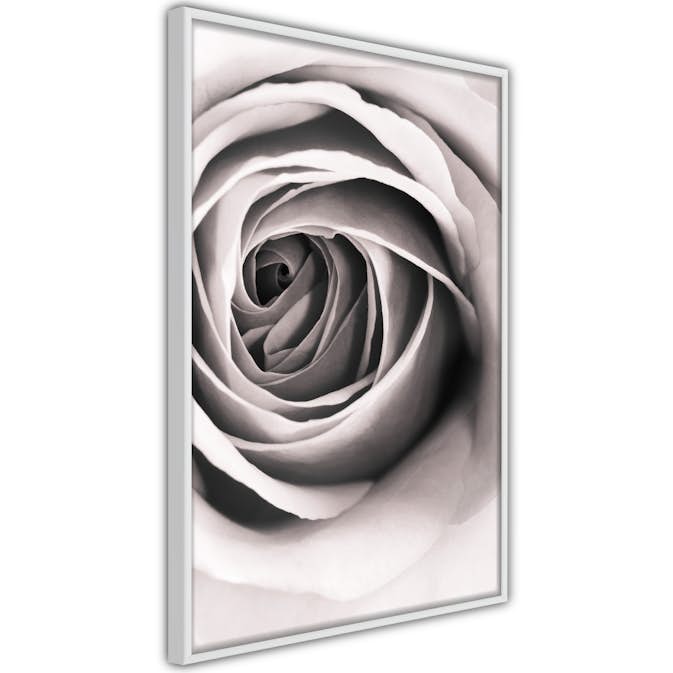 Poster Artgeist Affisch Rose Vortex