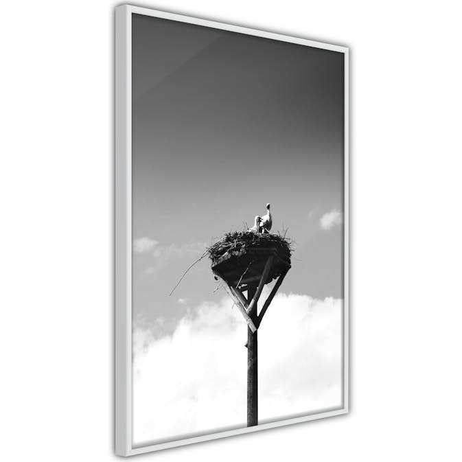 Poster Artgeist Affisch Crow's Nest