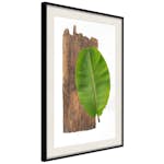 Poster Artgeist Affisch Authority of Nature