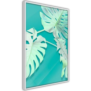 Poster Artgeist Affisch Mint Monstera