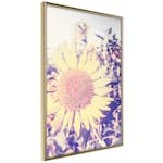 Poster Artgeist Affisch Sunflower
