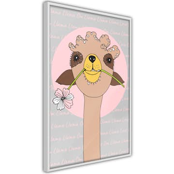 Poster Artgeist Affisch Happy Llama