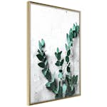 Poster Artgeist Affisch Eucalyptus Scent