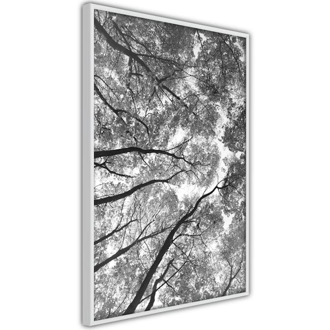 Poster Artgeist Affisch High Trees