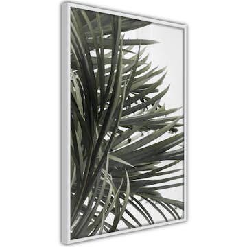 Poster Artgeist Affisch In the Shade of Palm Trees