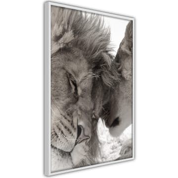 Poster Artgeist Affisch Whispering Dreams