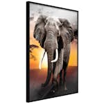 Poster Artgeist Affisch Warm Savanna