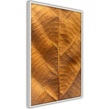 Poster Artgeist Affisch Autumn Leaf