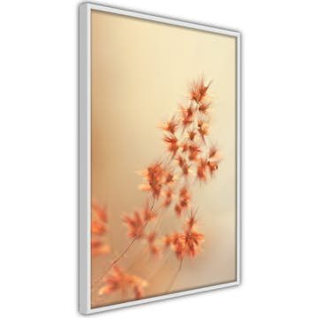 Poster Artgeist Affisch Fiery Grass