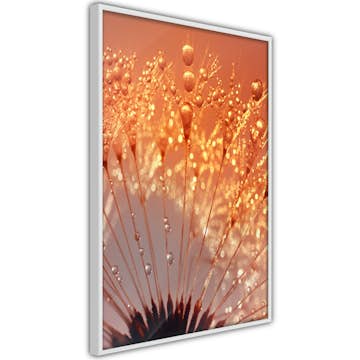 Poster Artgeist Affisch Autumn Dandelion
