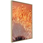 Poster Artgeist Affisch Autumn Dandelion