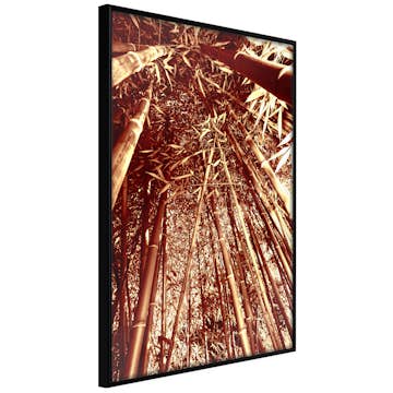 Poster Artgeist Affisch Tall Bamboos