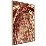 Poster Artgeist Affisch Tall Bamboos