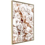 Poster Artgeist Affisch Rose Garden