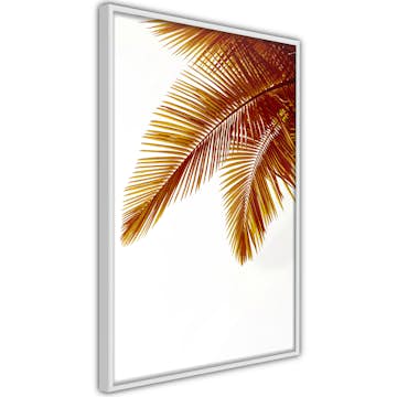 Poster Artgeist Affisch Goldilocks