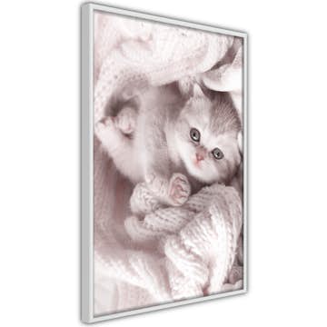 Poster Artgeist Affisch Lover of Rest