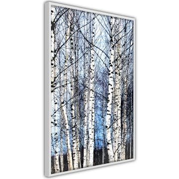 Poster Artgeist Affisch Frosty January